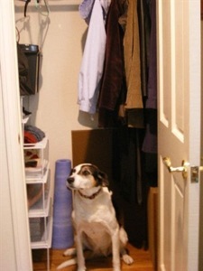 After organizing the closet